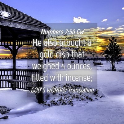 Picture 04 - Numbers 7:50 GW - He also brought a gold dish that weighed 4 - Bible Verse Picture