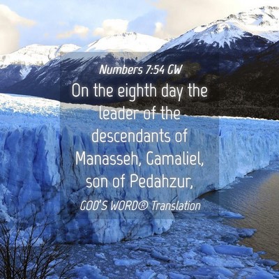 Picture 04 - Numbers 7:54 GW - On the eighth day the leader of the descendants - Bible Verse Picture