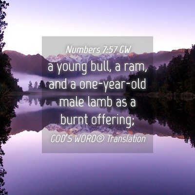Picture 04 - Numbers 7:57 GW - a young bull, a ram, and a one-year-old male lamb - Bible Verse Picture