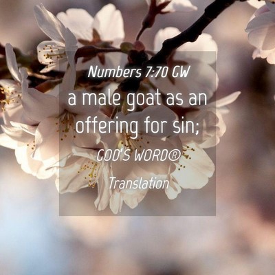 Picture 04 - Numbers 7:70 GW - a male goat as an offering for - Bible Verse Picture