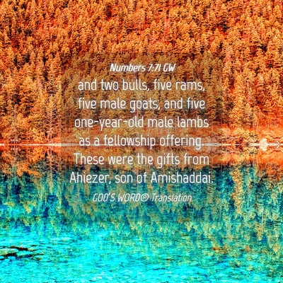 Picture 04 - Numbers 7:71 GW - and two bulls, five rams, five male goats, and - Bible Verse Picture