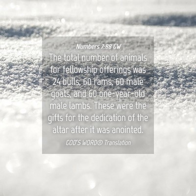 Picture 04 - Numbers 7:88 GW - The total number of animals for fellowship - Bible Verse Picture
