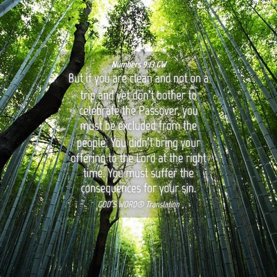 Picture 04 - Numbers 9:13 GW - But if you are clean and not on a trip and yet - Bible Verse Picture