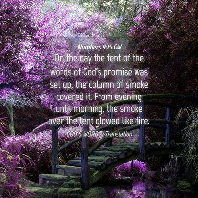 Picture 04 - Numbers 9:15 GW - On the day the tent of the words of God’s - Bible Verse Picture