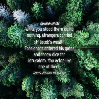 Picture 04 - Obadiah 1:11 GW - While you stood there doing nothing, strangers - Bible Verse Picture