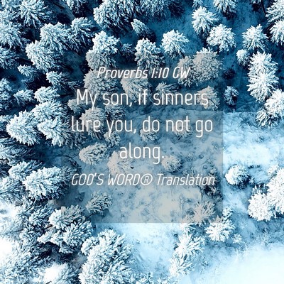 Picture 04 - Proverbs 1:10 GW - My son, if sinners lure you, do not go - Bible Verse Picture
