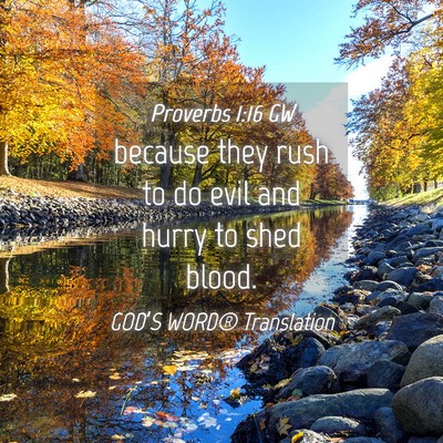 Picture 04 - Proverbs 1:16 GW - because they rush to do evil and hurry to shed - Bible Verse Picture