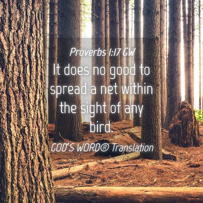 Picture 04 - Proverbs 1:17 GW - It does no good to spread a net within the sight - Bible Verse Picture