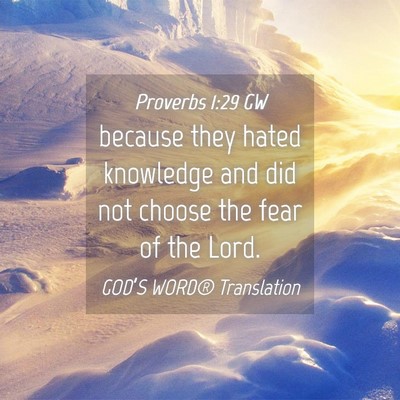 Picture 04 - Proverbs 1:29 GW - because they hated knowledge and did not choose - Bible Verse Picture