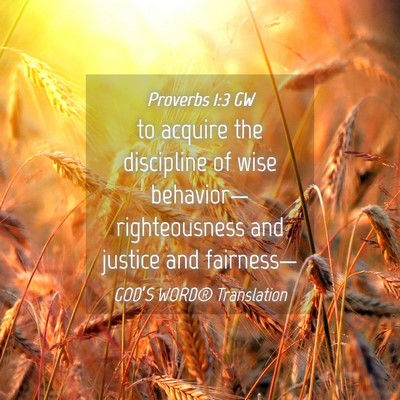 Picture 04 - Proverbs 1:3 GW - to acquire the discipline of wise behavior— - Bible Verse Picture