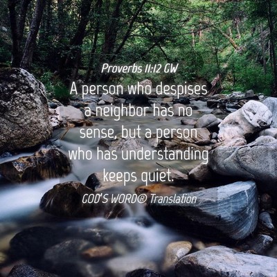 Picture 04 - Proverbs 11:12 GW - A person who despises a neighbor has no sense, - Bible Verse Picture
