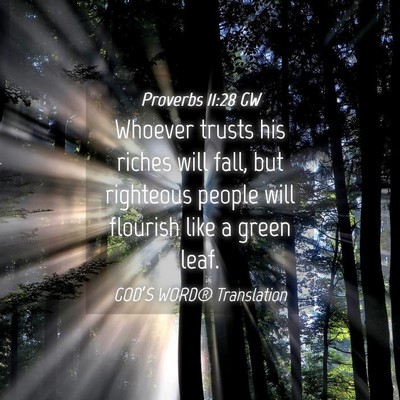 Picture 04 - Proverbs 11:28 GW - Whoever trusts his riches will fall, but - Bible Verse Picture