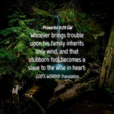 Picture 04 - Proverbs 11:29 GW - Whoever brings trouble upon his family inherits - Bible Verse Picture