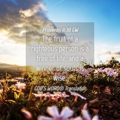 Picture 04 - Proverbs 11:30 GW - The fruit of a righteous person is a tree of - Bible Verse Picture