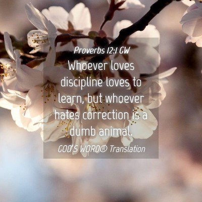 Picture 04 - Proverbs 12:1 GW - Whoever loves discipline loves to learn, but - Bible Verse Picture