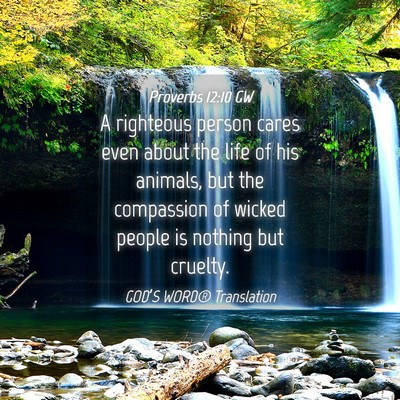 Picture 04 - Proverbs 12:10 GW - A righteous person cares even about the life of - Bible Verse Picture