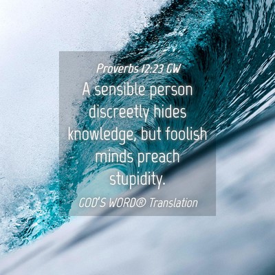 Picture 04 - Proverbs 12:23 GW - A sensible person discreetly hides knowledge, but - Bible Verse Picture