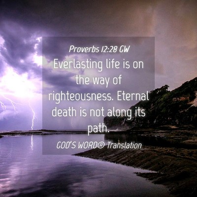 Picture 04 - Proverbs 12:28 GW - Everlasting life is on the way of righteousness. - Bible Verse Picture