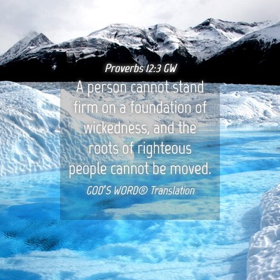 Picture 04 - Proverbs 12:3 GW - A person cannot stand firm on a foundation of - Bible Verse Picture