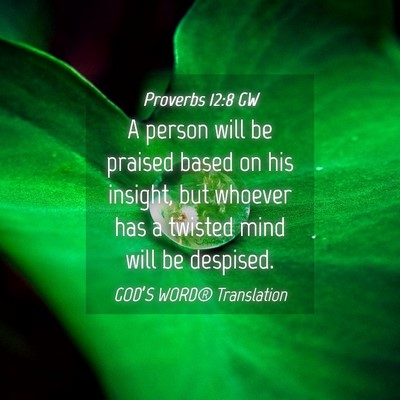 Picture 04 - Proverbs 12:8 GW - A person will be praised based on his insight, - Bible Verse Picture