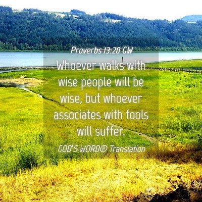Picture 04 - Proverbs 13:20 GW - Whoever walks with wise people will be wise, but - Bible Verse Picture