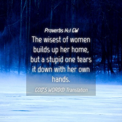 Picture 04 - Proverbs 14:1 GW - The wisest of women builds up her home, but a - Bible Verse Picture