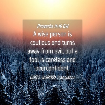 Picture 04 - Proverbs 14:16 GW - A wise person is cautious and turns away from - Bible Verse Picture