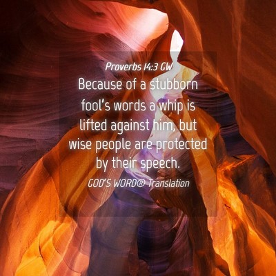 Picture 04 - Proverbs 14:3 GW - Because of a stubborn fool’s words a whip is - Bible Verse Picture