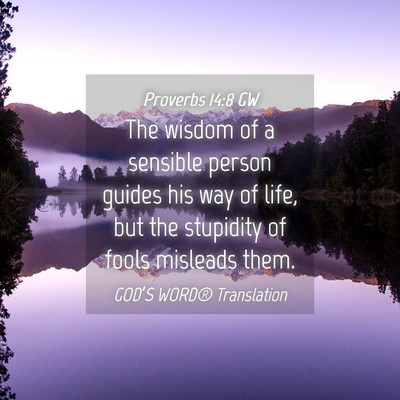 Picture 04 - Proverbs 14:8 GW - The wisdom of a sensible person guides his way of - Bible Verse Picture
