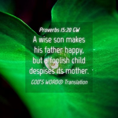 Picture 04 - Proverbs 15:20 GW - A wise son makes his father happy, but a foolish - Bible Verse Picture