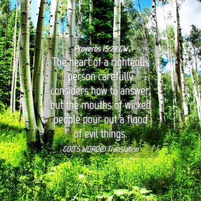 Picture 04 - Proverbs 15:28 GW - The heart of a righteous person carefully - Bible Verse Picture