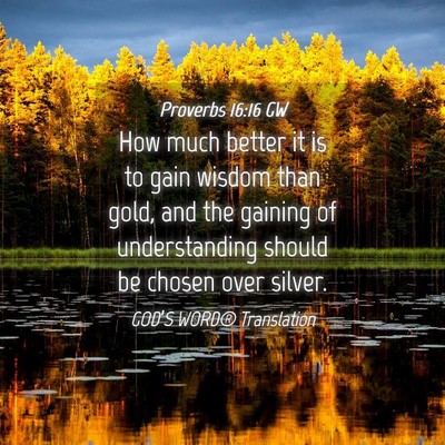 Picture 04 - Proverbs 16:16 GW - How much better it is to gain wisdom than gold, - Bible Verse Picture
