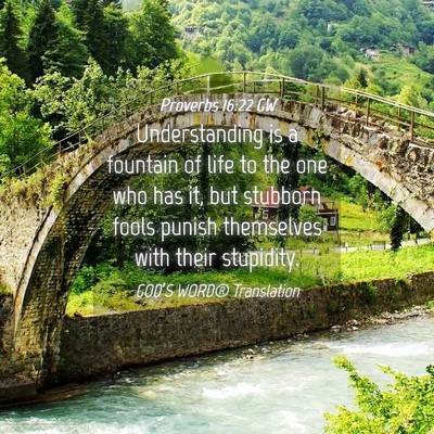 Picture 04 - Proverbs 16:22 GW - Understanding is a fountain of life to the one - Bible Verse Picture