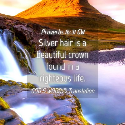 Picture 04 - Proverbs 16:31 GW - Silver hair is a beautiful crown found in a - Bible Verse Picture