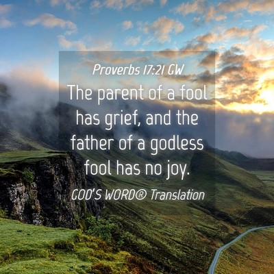 Picture 04 - Proverbs 17:21 GW - The parent of a fool has grief, and the father of - Bible Verse Picture