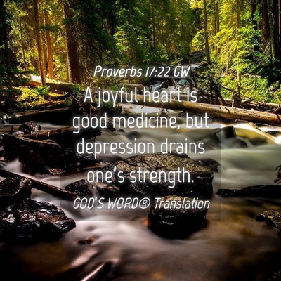 Picture 04 - Proverbs 17:22 GW - A joyful heart is good medicine, but depression - Bible Verse Picture