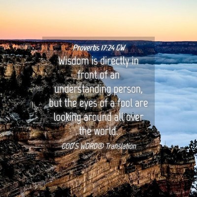 Picture 04 - Proverbs 17:24 GW - Wisdom is directly in front of an understanding - Bible Verse Picture