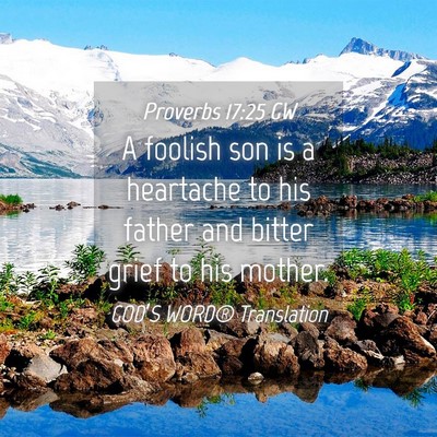 Picture 04 - Proverbs 17:25 GW - A foolish son is a heartache to his father and - Bible Verse Picture