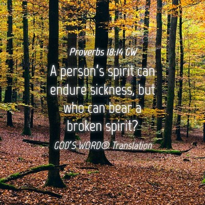 Picture 04 - Proverbs 18:14 GW - A person’s spirit can endure sickness, but who - Bible Verse Picture
