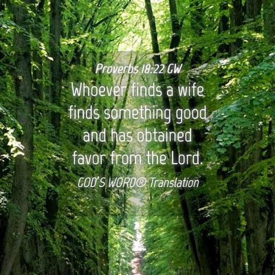 Picture 04 - Proverbs 18:22 GW - Whoever finds a wife finds something good and has - Bible Verse Picture