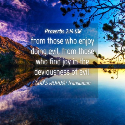 Picture 04 - Proverbs 2:14 GW - from those who enjoy doing evil, from those who - Bible Verse Picture