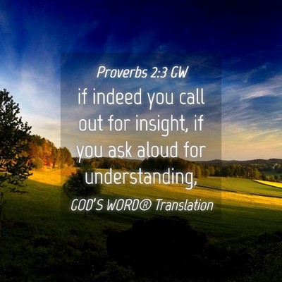Picture 04 - Proverbs 2:3 GW - if indeed you call out for insight, if you ask - Bible Verse Picture