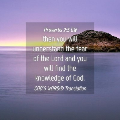 Picture 04 - Proverbs 2:5 GW - then you will understand the fear of the Lord and - Bible Verse Picture