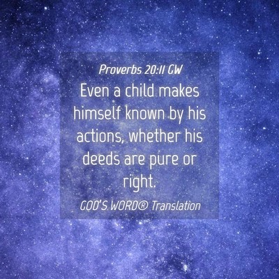 Picture 04 - Proverbs 20:11 GW - Even a child makes himself known by his actions, - Bible Verse Picture