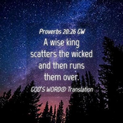 Picture 04 - Proverbs 20:26 GW - A wise king scatters the wicked and then runs - Bible Verse Picture