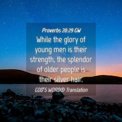 Picture 04 - Proverbs 20:29 GW - While the glory of young men is their strength, - Bible Verse Picture