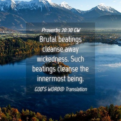 Picture 04 - Proverbs 20:30 GW - Brutal beatings cleanse away wickedness. Such - Bible Verse Picture