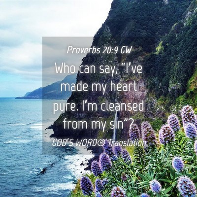 Picture 04 - Proverbs 20:9 GW - Who can say, “I’ve made my heart pure. I’m - Bible Verse Picture