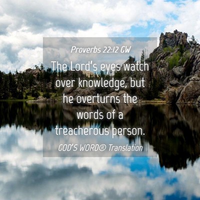 Picture 04 - Proverbs 22:12 GW - The Lord’s eyes watch over knowledge, but he - Bible Verse Picture