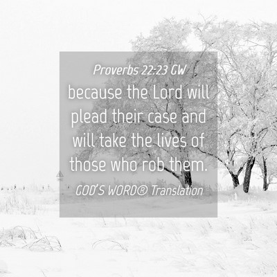 Picture 04 - Proverbs 22:23 GW - because the Lord will plead their case and will - Bible Verse Picture